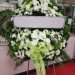 หน้าแรก s 3399701