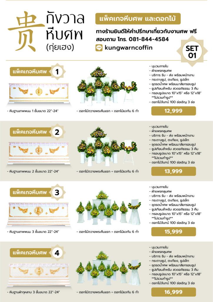 แพ็คเกจโปร(3แผ่น)หน้าเว็บ 01