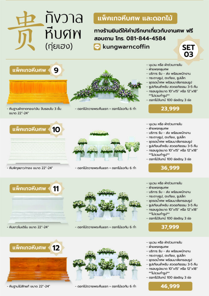 แพ็คเกจโปร(3แผ่น)หน้าเว็บ 03